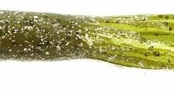 Strike King Lure Company Baits Strike King 4.5