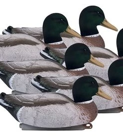 Higdon Magnum Mallard Foam Filled Flocked Heads All Drake Pac Duck