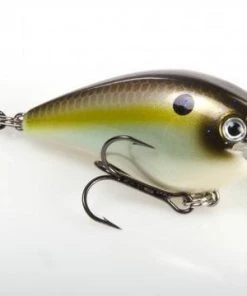 STRIKE KING LURE COMPANY Baits Strike King 2.5
