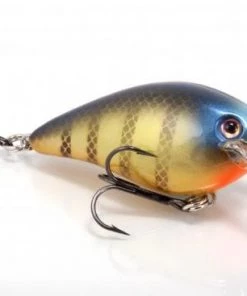 STRIKE KING LURE COMPANY Baits Strike King KVD 1.5 Square Bill Crankbait