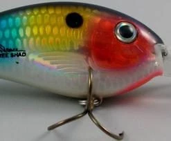 Baits Bomber Fat Free Shad BD6 1/2oz