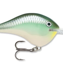 Bmtoutdoors RAPALA DT 10 CRANKBAIT Medium Diving Crankbaits 11 Bmtoutdoors RAPALA DT 10 CRANKBAIT Medium Diving Crankbaits