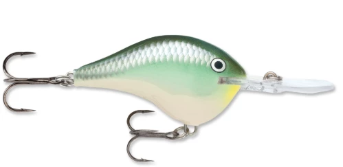 Bmtoutdoors RAPALA DT 10 CRANKBAIT Medium Diving Crankbaits 7 Bmtoutdoors RAPALA DT 10 CRANKBAIT Medium Diving Crankbaits