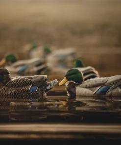 Bmtoutdoors Duck LIFETIME DECOYS FLEXFLOAT MALLARDS