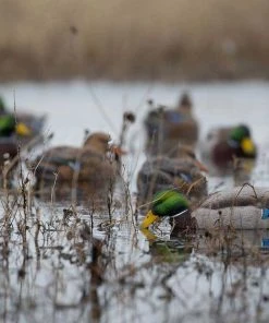 Bmtoutdoors Avery GHG Pro-Grade XD Series Mallards, Feeder 6 Pack