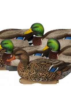 Bmtoutdoors Avery GHG Pro-Grade XD Series Mallards, Active 6 Pack