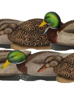 Bmtoutdoors Avery GHG Pro-Grade XD Series Mallards, Feeder 6 Pack