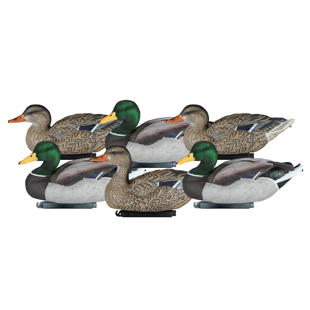 Bmtoutdoors Dakota Packable Mallards Decoys Duck 3 Bmtoutdoors Dakota Packable Mallards Decoys Duck