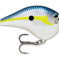 Bmtoutdoors RAPALA DT 10 CRANKBAIT Medium Diving Crankbaits 10 Bmtoutdoors RAPALA DT 10 CRANKBAIT Medium Diving Crankbaits