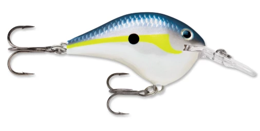 Bmtoutdoors RAPALA DT 10 CRANKBAIT Medium Diving Crankbaits 6 Bmtoutdoors RAPALA DT 10 CRANKBAIT Medium Diving Crankbaits