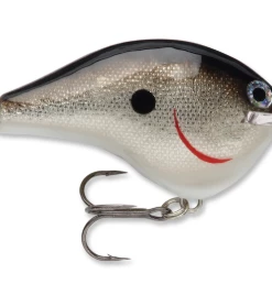 Bmtoutdoors RAPALA DT 10 CRANKBAIT Medium Diving Crankbaits 9 Bmtoutdoors RAPALA DT 10 CRANKBAIT Medium Diving Crankbaits