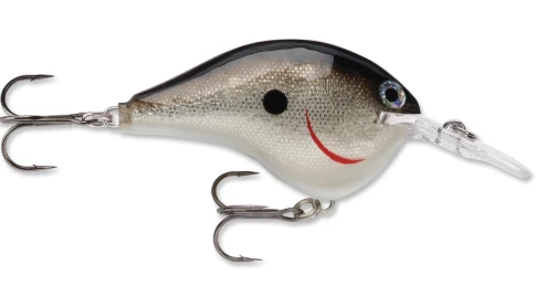 Bmtoutdoors RAPALA DT 10 CRANKBAIT Medium Diving Crankbaits 5 Bmtoutdoors RAPALA DT 10 CRANKBAIT Medium Diving Crankbaits