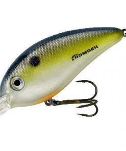 Baits Bomber Fat Free Square Lip BD7 3/4OZ
