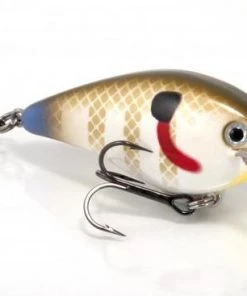STRIKE KING LURE COMPANY Baits Strike King KVD 1.5 Square Bill Crankbait