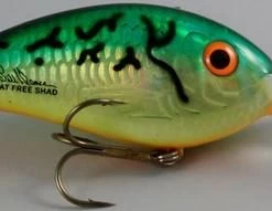 Bomber Fat Free Shad BD7