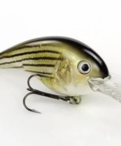 Strike King Lure Company Strike King 10XD Crankbait