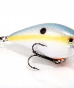 STRIKE KING LURE COMPANY Baits Strike King KVD 1.5 Square Bill Crankbait