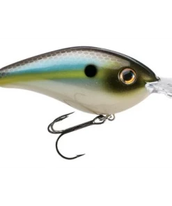 STRIKE KING LURE COMPANY Medium Diving Crankbaits Strike King 3XD Crankbait